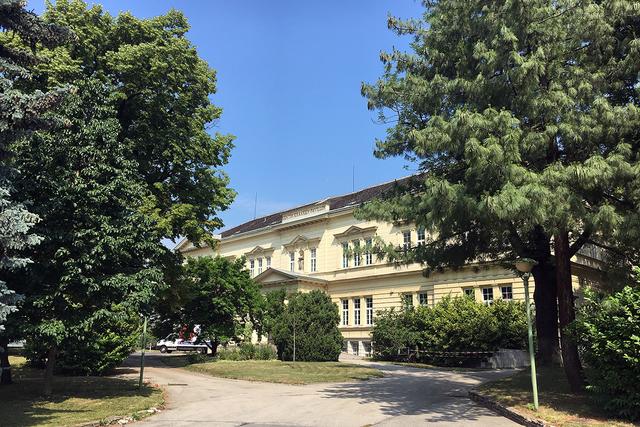 Der Park des Sophienspitals soll bald verbaut werden.