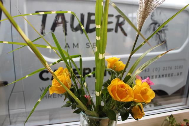 Foto: Andrea Glatzer