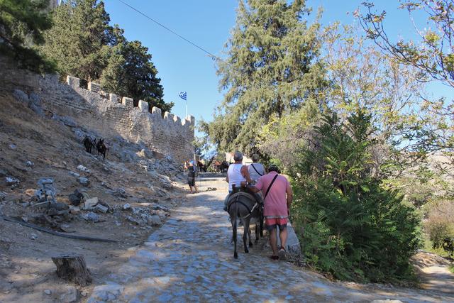 Man kann auch auf einem Esel zur Akropolis von Lindos 