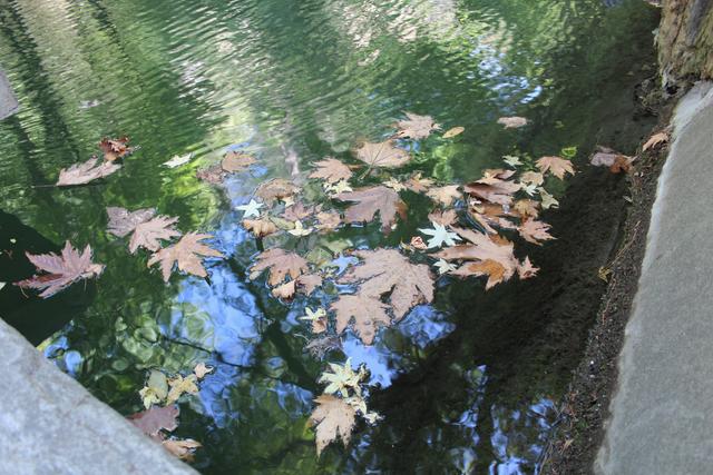 Der Herbst ist auch im Schmetterlingstal eingekehrt.
