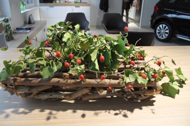 Foto: Andrea Glatzer