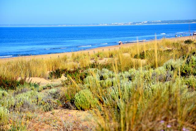 Die Macchia wird erhalten