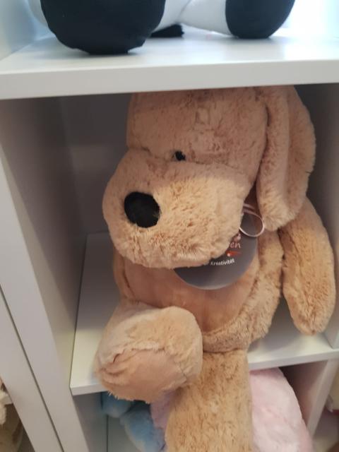 Foto: Lara Bloder