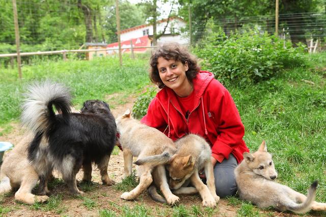 Zsofia Viranyi kennt sich bei Hunden sehr gut aus. | Foto: Verein gegen Tierfabriken (VGT)