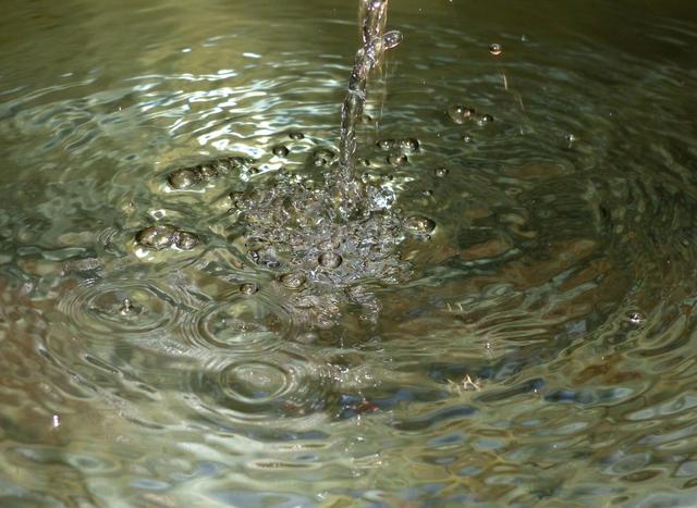 Wasser ist eine lebenswichtige Grundlage für Mensch und Natur - wie sieht die Zukunft unseres "blauen Goldes" aus? | Foto: Sabine Wanzenböck, Universität Innsbruck, Limnologie Mondsee