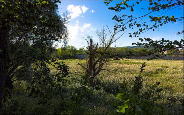 Foto: ©Sylvia S., Aus meiner Reihe "Wiens Grünoasen"