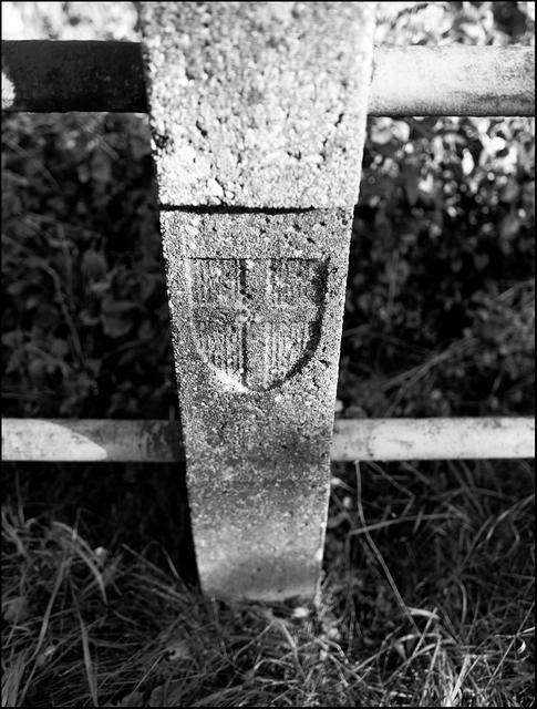 Foto: ©Sylvia S., Aus meiner Reihe "Wien in schwarz-weiß"