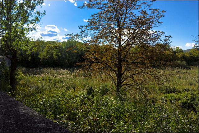 Foto: ©Sylvia S., Aus meiner Reihe "Wiens Grünoasen"