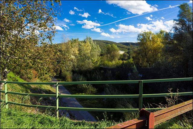 Foto: ©Sylvia S., Aus meiner Reihe "Wiens Grünoasen"