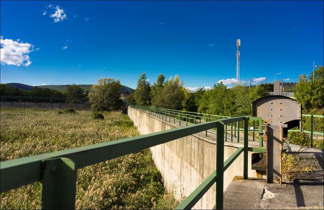 Ein herrlich Blick hinab zu Schilf und Bäumen, einfach herrlich. Die Mauer darf nur von den Befugten Mitarbeitern betreten werden, also hab ich mich brav hinter der Absperrung verschanzt :-)  | Foto: ©Sylvia S., Aus meiner Reihe "Wiens Grünoasen"
