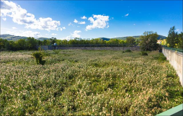 Aus Gedanken und Blickfeld ausgesperrt sind der Großstadtverkehr und Hochhäuser etc... das nenne ich Urlaub in meiner Heimatstadt  - alles da was man braucht und die Seele baumeln lassen kann man auch. | Foto: ©Sylvia S., Aus meiner Reihe "Wiens Grünoasen"