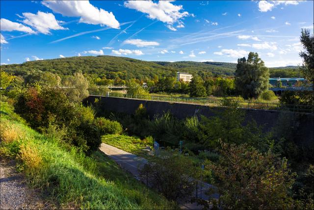 Foto: ©Sylvia S., Aus meiner Reihe "Wiens Grünoasen"