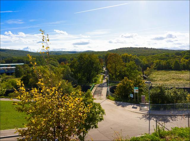 Gut angekommen in Wolf in der Au erblicke ich schon den Brückenweg, der es möglich macht von Wolf in der Au im 14. Bezirk auf die andere Seite nach Auhof im 13. Bezirk zu gelangen. Gestern war es allerdings nicht so angenehm, denn zeitweise stürmte es, dass es mir beinahe den Boden unter den Füssen weggezogen hat. Aber was soll's :-), so kommt man ohne viel Arbeit auch zu Verwischbildern :-). | Foto: ©Sylvia S., Aus meiner Reihe "Wiens Grünoasen"