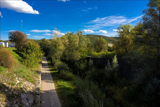 Einfach stehen bleiben und diesen Anblick genießen. So weit das Auge reicht, Natur. Im Hintergrund die Wälder des Lainzer Tiergartens.  | Foto: ©Sylvia S., Aus meiner Reihe "Wiens Grünoasen"