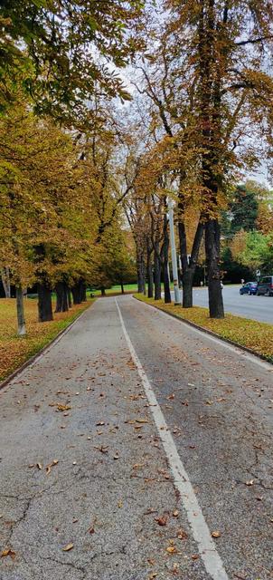 Kastanienzeit: Auch Radfahrer sollen vorsichtiger sein. | Foto: KK