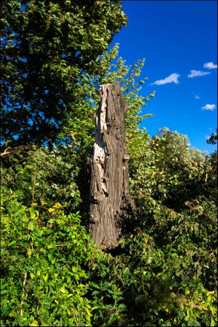 Foto: ©Sylvia S., Aus meiner Reihe "Wiens Grünoasen"