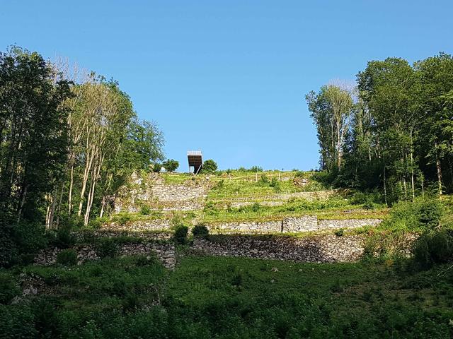 Die Wanderung führt über Asphalt und Forstwege. Der Zugang zur Plattform ist ohne Stiegensteigen möglich. | Foto: Marktgemeinde Gramastetten