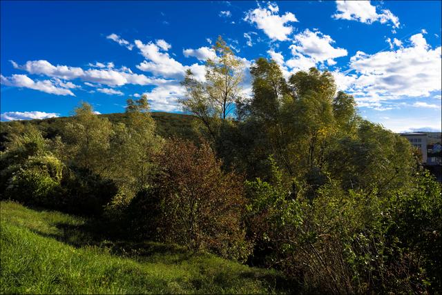 Auch im Rückhaltbecken beginnt es langsam Herbst zu werden. | Foto: ©Sylvia S., Aus meiner Reihe "Wiens Grünoasen"