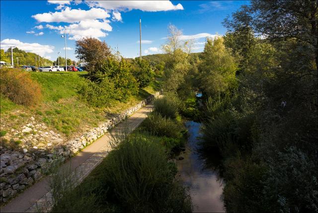 Entlang des Wienflussses bietet sich atemberaubende Schönheit an Natur die nicht wie im englischen Garten zurechtgebogen wird :). | Foto: ©Sylvia S., Aus meiner Reihe "Wiens Grünoasen"