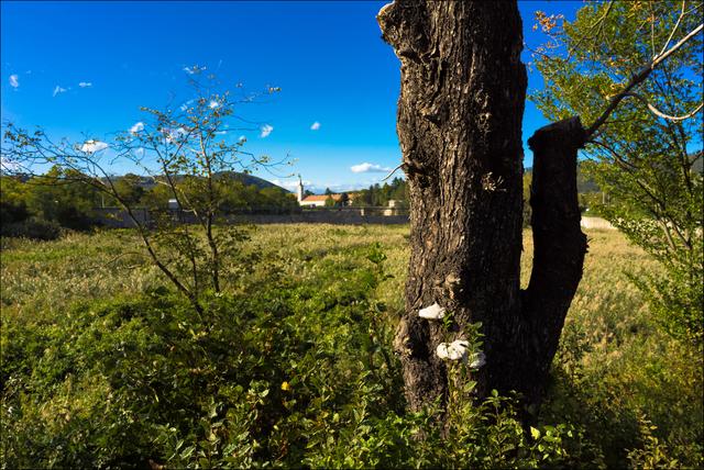 In weiter Ferne ragt der Kirchturm der Kirche Maria Brunn hervor. Diese werde ich aber bei dieser Tour nicht erkunden.  | Foto: ©Sylvia S., Aus meiner Reihe "Wiens Grünoasen"