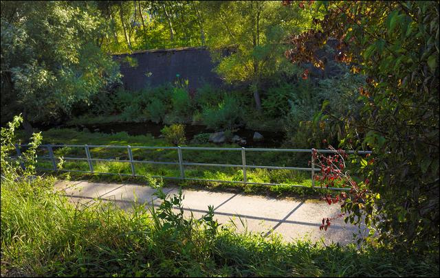 Foto: ©Sylvia S., Aus meiner Reihe "Wiens Grünoasen"