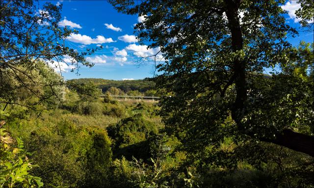 Foto: ©Sylvia S., Aus meiner Reihe "Wiens Grünoasen"