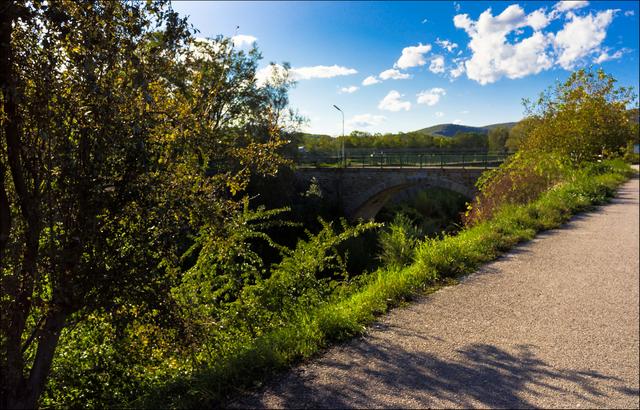 Ein Blick zurück zum Brückenweg | Foto: ©Sylvia S., Aus meiner Reihe "Wiens Grünoasen"