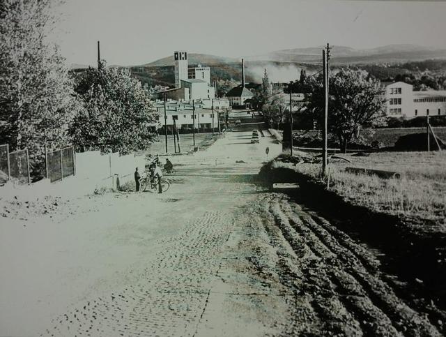 Foto: Privatarchiv Doris Spielbichler