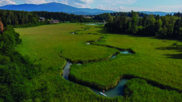 Der Schlif-Mäander am Faaker See | Foto: Region Villach Tourismus/Martin Hoffmann