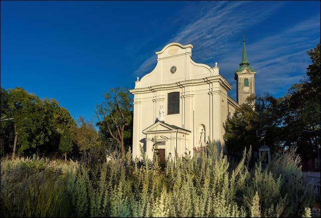 Der Platz vor der Kirche ist wunderschön gestaltet und begrünt! | Foto: ©Sylvia S., Aus meiner Reihe "Meine Stadtspaziergänge - Urlaub in der Heimatstadt"