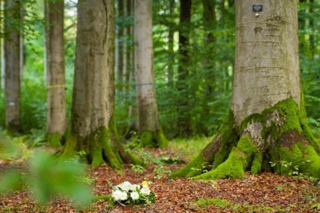 Foto: Zauberkugel Studio , Adobe Stock Photo