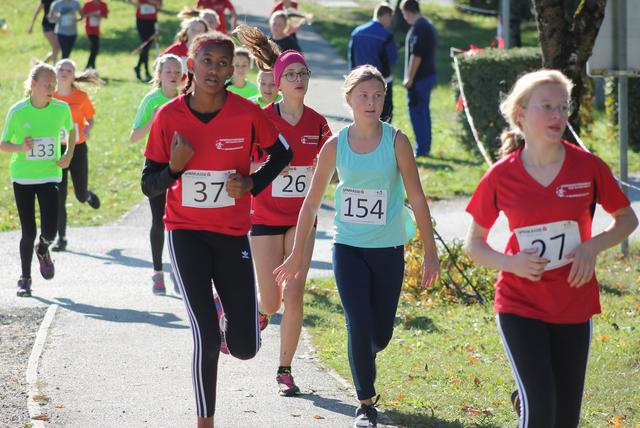 Foto: Bettina Riegler/NMS HIT Grein