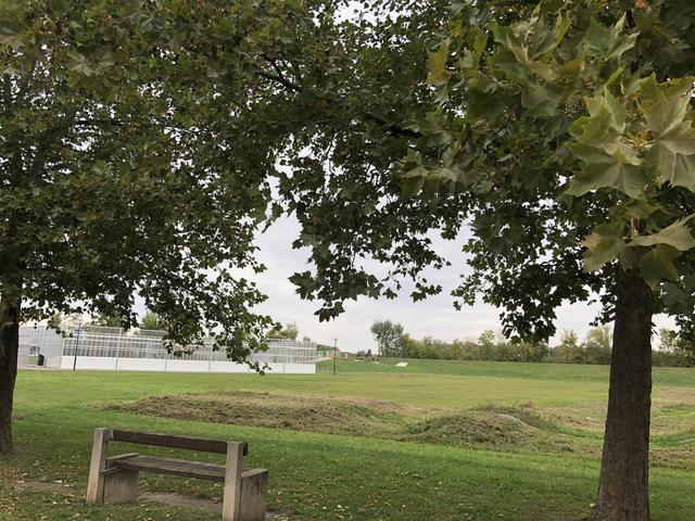 Wo hier neben der Donau die BMX-Bahn ist, soll bald ein Freizeitpark werden.