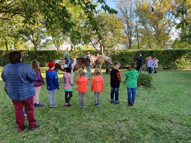 Anlässlich des Welttierschutztages werden Theorie und Praxis für die Kinder der Volksschule Siegendorf zusammengeführt.