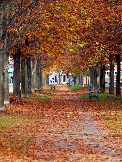 So bunt und schön zeigt sich der Herbst in Deutschlandsberg.
