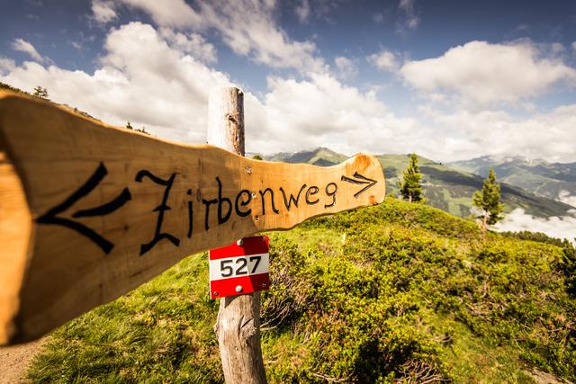 Ausgangspunkt ist die Graukogel Sessellift-Bergstation. Von dort führt ein beschilderter Rundweg durch die Welt der Zirbe. Zusätzlich bietet sich die Möglichkeit auf den Hüttenkogel mit seinem alten Baumbestand zu gehen. Gehzeit in etwa zwei Stunden. | Foto: TVB Bad Gastein