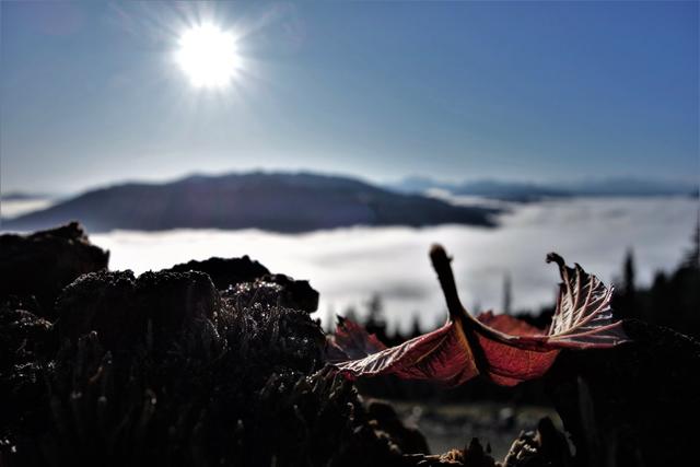 Salzburg. | Foto: Theresia Pfeiffenberger