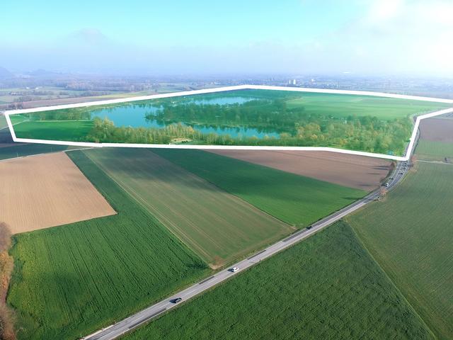 Die weiße Linie zeigt das Schutzgebiet rund um den Pichlinger See.