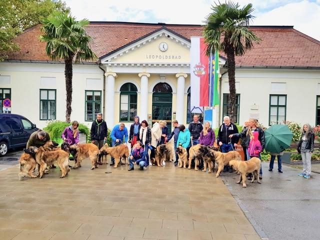 Der "Freundeskreis der Hundebesitzer der Leonberger-Hunderasse" fällt überall auf. | Foto: Trocki