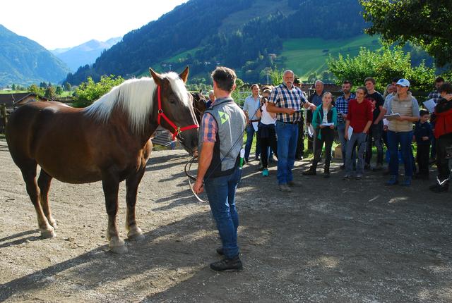 Der Pferdezuchtverein Gastein Nr. 8 konnte Ing.Walter Werni als namhaften Referenten für den Vorführkurs gewinnen. | Foto: Foto:Konrad Rauscher