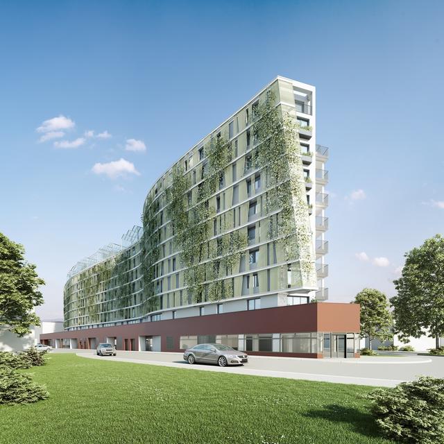 ERnteLAA – so wird das fertige Projekt aussehen.