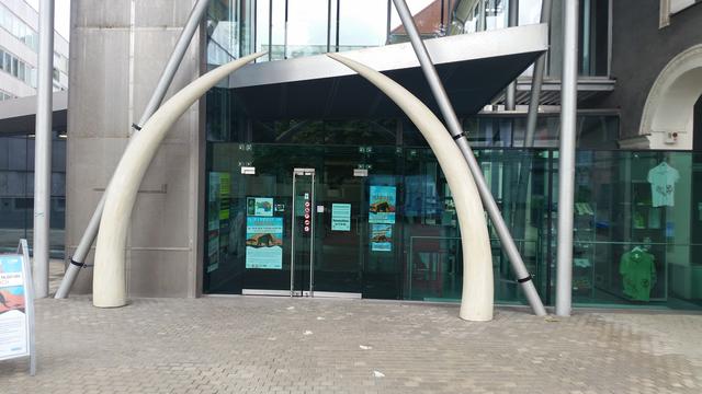 Die gewaltigen Stoßzähne beim Eingang lassen schon ahnen was es bei dieser tollen Ausstellung zu sehen gibt.