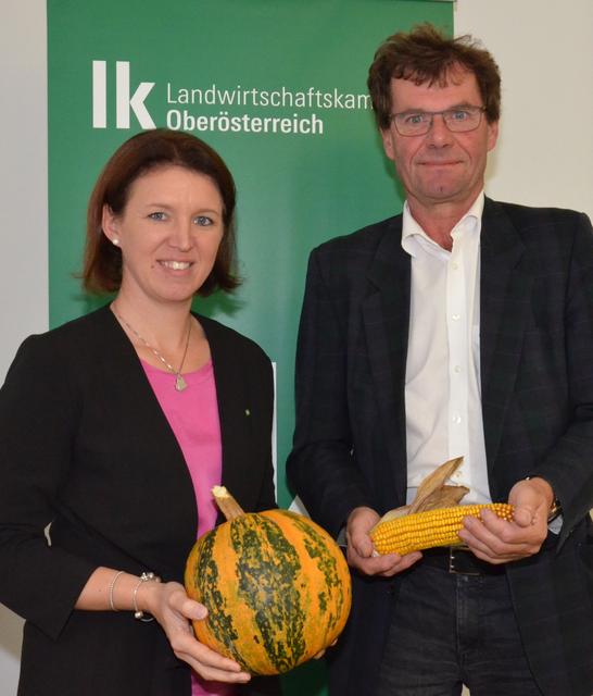 Bei der Herbsternte-Bilanz: Michaela Langer-Weninger, Präsidentin der LK OÖ und Christian Krumphuber, Leiter der Abteilung Pflanzenproduktion in der LK OÖ.