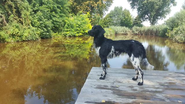 Im Sommer soll Gaby dann Mama werden.