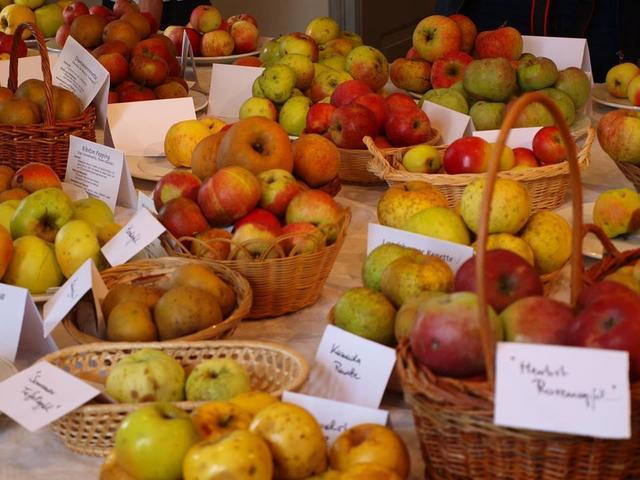 Foto: Wieseninitiative