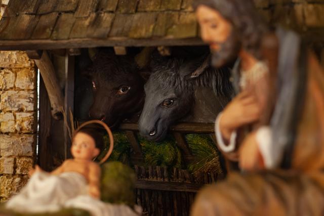 Die "neue" Weihnachtskrippe der Pfarre Wolkersdorf