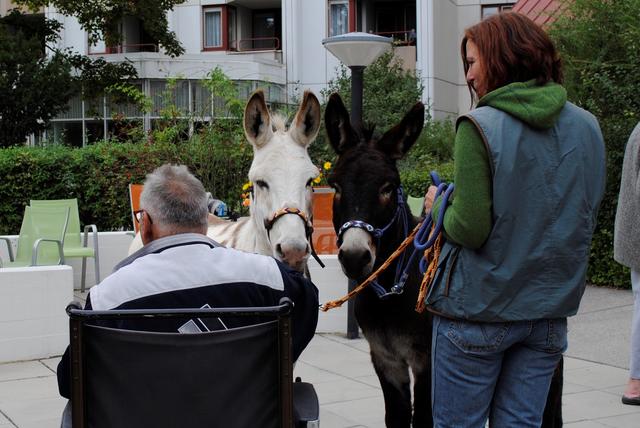 Das „Haus am Mühlengrund“ hatte besonders außergewöhnliche Gäste | Foto: eselmobil
