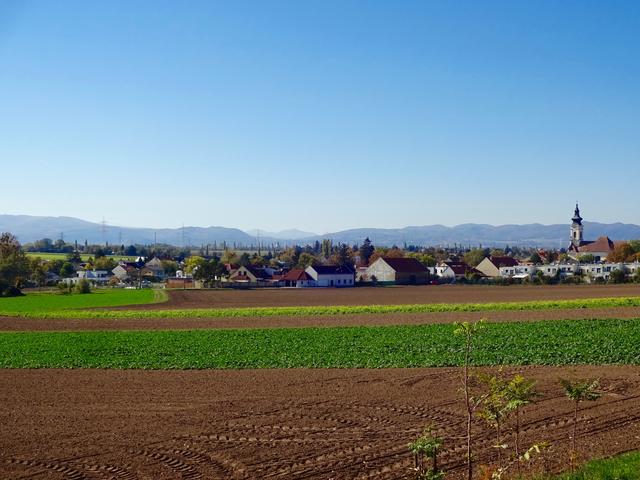 Für die nächsten drei Jahre gilt ein Bauverbot in den Ortskernen von Oberlaa und Unterlaa.  | Foto: Stocker/Lebensraum 