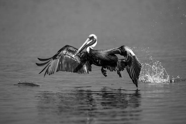 Bild 832: "Start" - 41 Punkte | Foto: © by Thomas Kirschner