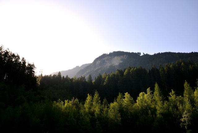 LOORIEN AKADEMIE SCHWAZ - die Waldakademie des Schwazer Silberwald
Seminarauszug 2020 „Protokoll der Zerstörung der Erde“ Teil 03 „Selbstorganisation einer Klimaapokalypse“